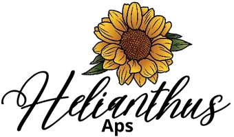 Helianthus APS